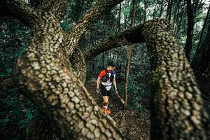 BIB: 
                            <button type="button" onclick="openModal(25394091)" class="btn btn-primary btn-sm float-right btn-popup" data-toggle="modal" data-target=".modal-high-quality">
                        <i class="fas fa-shopping-cart"></i> Add to Cart
                    </button>
                                            <button type="button" onclick="isThisMe(25394091, true)" class="btn btn-success btn-sm float-right btn-popup btn-isme hidden" data-toggle="tooltip" data-placement="bottom" title="นี่คือรูปของคุณใช่ไหม คลิกที่นี่เพื่อเอาเข้าอัลบั้ม">
                        <i class="fas fa-plus"></i> Add to album
                    </button>
                    <button type="button" onclick="isThisMe(25394091, false)" class="btn btn-warning btn-sm float-right btn-popup btn-isnotme hidden">
                        <i class="fas fa-ban"></i> Remove from album
                    </button>